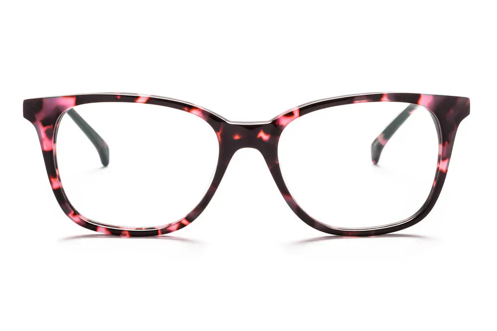 AM Eyewear - Curie