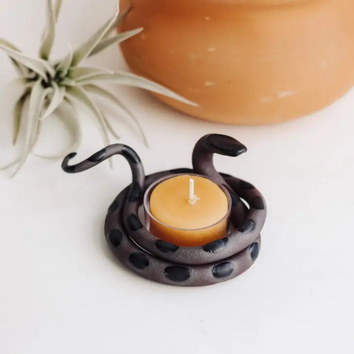 Ceramic Snake - Air Plant Holder