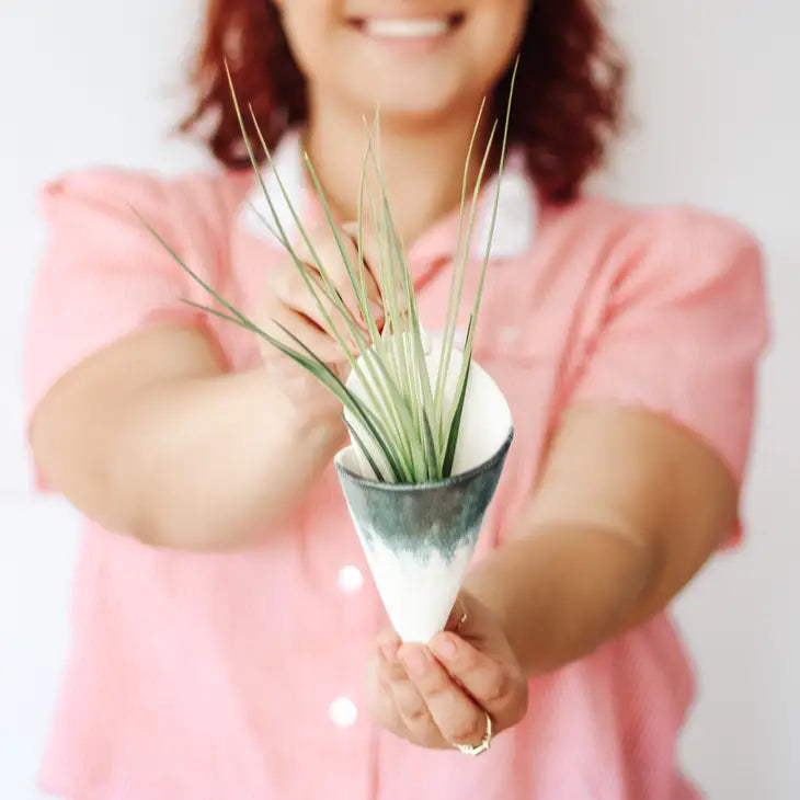 Ceramic Vase Wall Planter - Medium