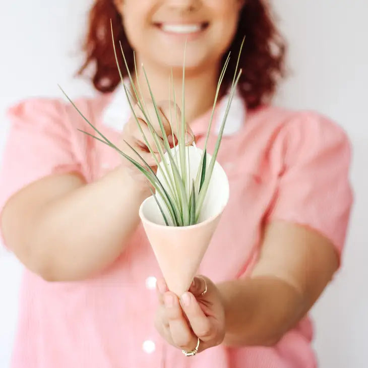 Ceramic Vase Wall Planter - Medium