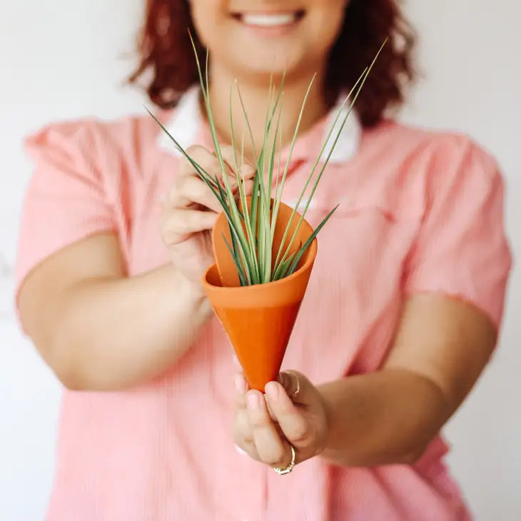 Ceramic Vase Wall Planter - Medium