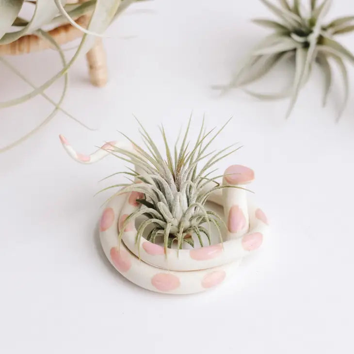Ceramic Snake - Air Plant Holder