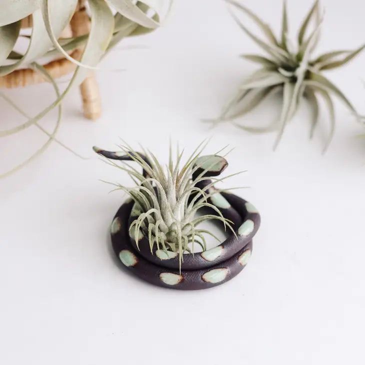 Ceramic Snake - Air Plant Holder