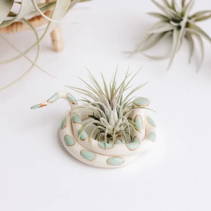 Ceramic Snake - Air Plant Holder
